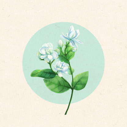Jasmine Essential Oil