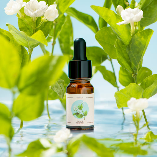Jasmine Essential Oil
